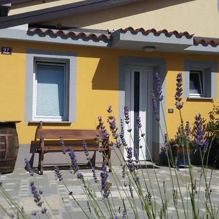 Apartma Brnistra Ginestra Копер Экстерьер фото